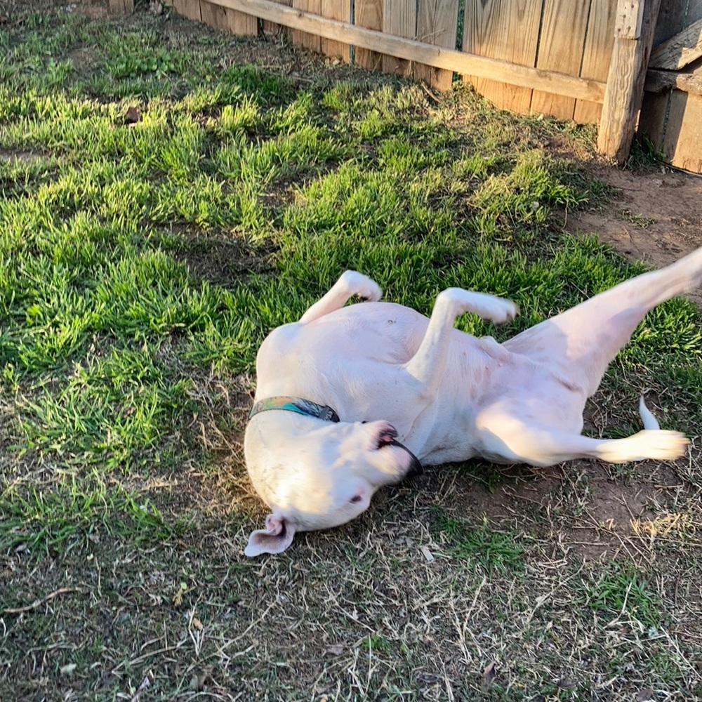 Meet your Posher, Jade